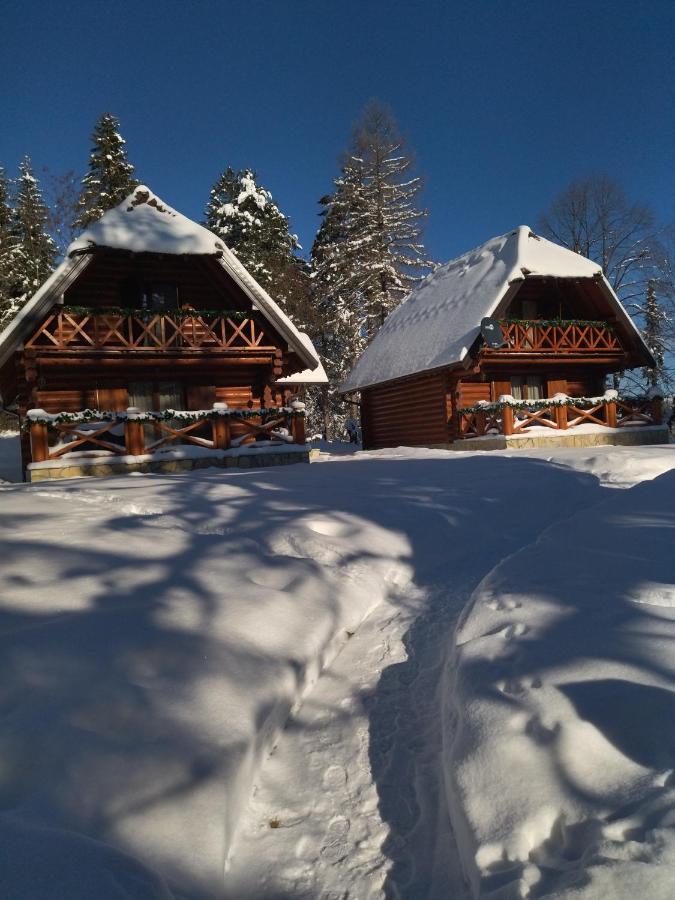 Brvnare Park Borova Villa Zlatibor Exterior photo